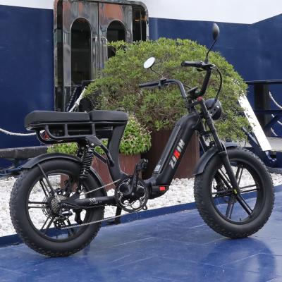 China Long Seat Aluminum Alloy E-Bike OEM Factory Fat Bike Aluminum Alloy Sight Sand Electric Beach Snow Electric Bike for sale