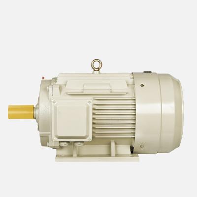 China Three Phase Blushless AC Synchronous Motor With IE4 Efficiency Level for sale