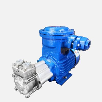 China Up To 200 Feet Head Magnetic Drive Centrifugal Pump For High Temperature Applications for sale