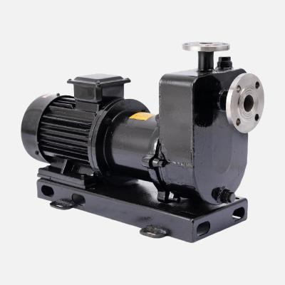 China 150 PSI Maximum Pressure Magnetic Sealless Centrifugal Pump With IP55 Motor Enclosure for sale