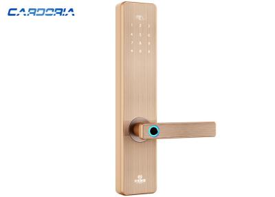 China Silver Gold Bluetooth Fingerprint Door Lock Zinc Alloy Material For Home for sale