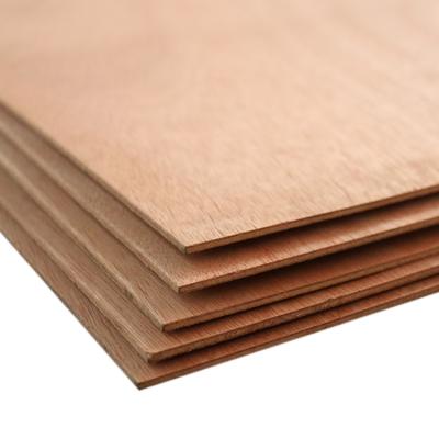 China Furniture Decoration ROJOPLY Commercial Plywood 18mm Bintangor Poplar Plywood for sale