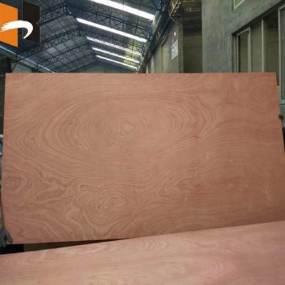 China Indoor Hanbao All Sizes Commercial Decoration Plywood For Furniture for sale