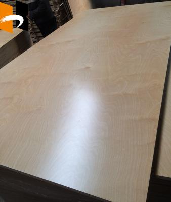 China 3mm 15mm 18mm Traditional Wholesale Construction Plywood For UV Painted Birch for sale