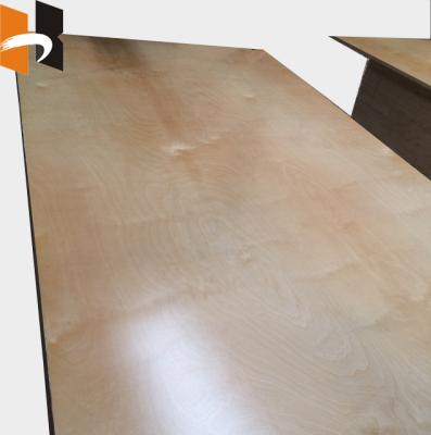 China Furniture Decoration Glossy UV Birch Prefinished Plywood for sale