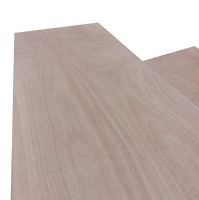 中国 Modern Poplar and Combi Core Hardwood Core Door Skin Plywood for Molded 販売のため