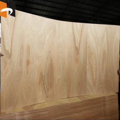 China Made to Shape 2440*1220mm Bent Plywood For Furniture Chair Flexible Long Grain zu verkaufen