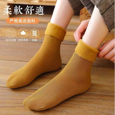 China 2021 Wholesale Cheap Wholesale Winter Tube Cotton New Candy Color Thick Socks Women Viable Warm Socks 34-40 Feet Waist for sale