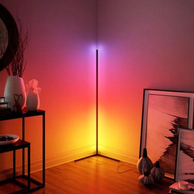 China Lighting Works Unique Designer Nordic Smart RGB Led Floor Lamp Corner Standing Living Room Decorative Modern RGB Led Floor Lamp for sale