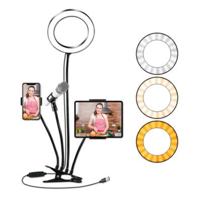 China For Live Stream and Makeup Photography Tiktok Stand Desk 8 Inch Lamp Laptop Folding Life Large Dimmable Led Ring Light for sale