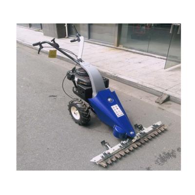 China High Powered, Easy Operate 4-Stroke and Safe Gasoline Lawn Mower for Home Use or Garden Use for sale