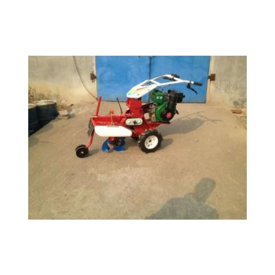 China Sugar Cane Vegetable Cultivator Potato Fields Rotary Tiller For Agriculture Orchard Furrow Cultivator for sale