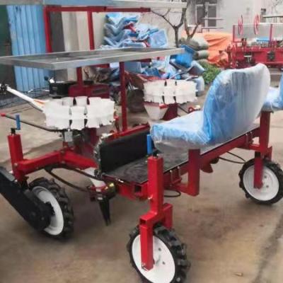 China Farm agriculture vegetable transplanter for tomatoe seedling self-propelled vegetable transplanter for sale