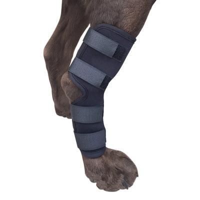 China Neoprene Dog Leg Brace For Hind Leg Canine Rear Leg Hock Support Pet Elbow Protector for sale