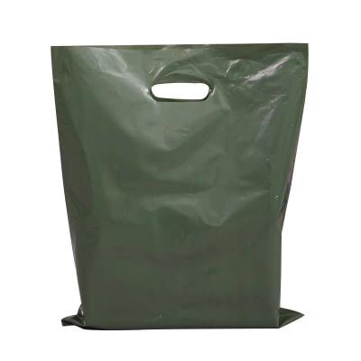 China Logo Printed Biodegradable Die Cut Recyclable Custom Handle Shopping Plastic Bag For Clothes Packaging for sale