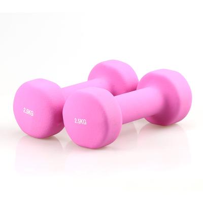 China Universal Fitness 3KG 5KG 10KG Dip PVC Dumbbell Neoprene Vinyl Dumbbell High Quality Home Dumbbell for sale