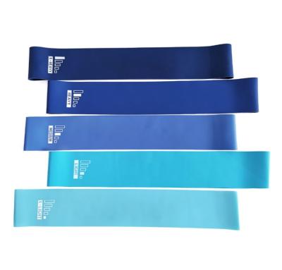 China 2021 Hot Selling Printing Fitness Resistance Band Custom Loop Bands For Yoga for sale