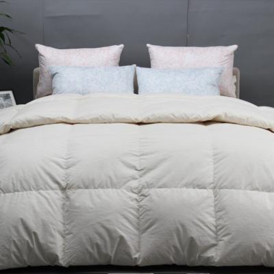 China White Color Downproof 100% Cotton Fabric Home Down Comforter Comforter Four-Season Use for sale