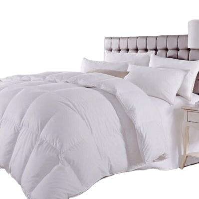 China Long Sleeve Embroidered Hotel Soft Hot Selling Comforter / Comforter / Duvet for sale