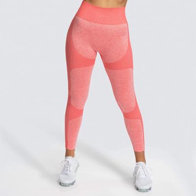 China Spandex/Nylon/Cotton Multicolor Options, Customizable Logos, Women's Comfortable Seamless Yoga Tights for sale