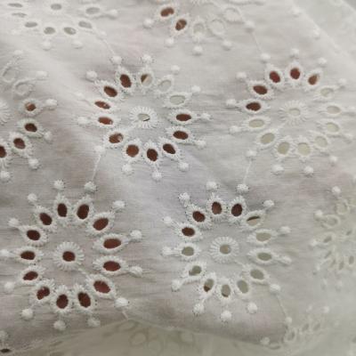 China Breathable 100% African Cotton Eyelet Schiffli Lace Embroidery Eyelet Embroidered Fabric For Sleepwear for sale