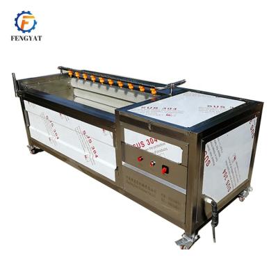 China Brush Washing Peeling Machine Cassava Fresh Washing Machine Cassava Cleaning Fresh Washing Machine for sale