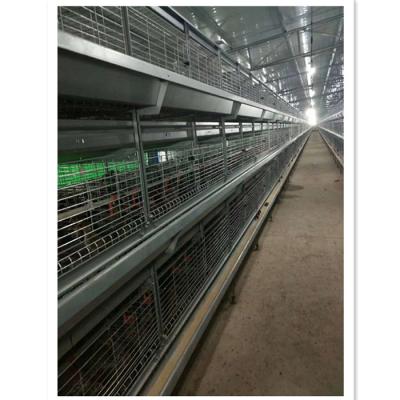 China Poultry Field Layer Cages Egg Chicken Poultry Farm System for sale