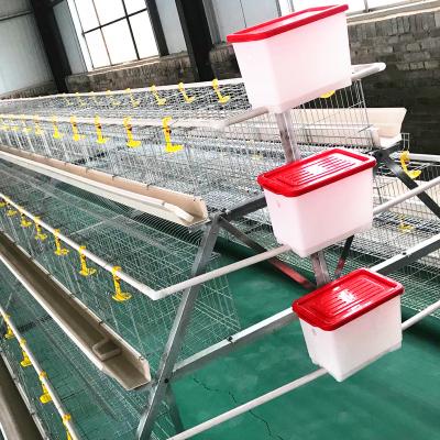 China Hot Galvanized Chicken Cage Layer Poultry Farms A Type Automatic For Farm Equipment for sale