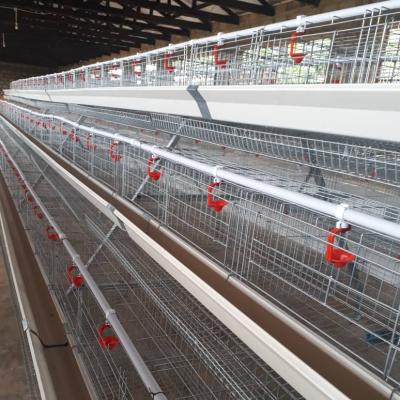 China Poultry Field Zambia Layer Poultry Farm Chicken Cage For Sale for sale