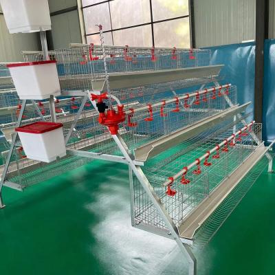 China Commercial Hot Selling Chicken Farm BT Layer Chicken Cages For Chicken House Farm For Animals In Nigeria for sale