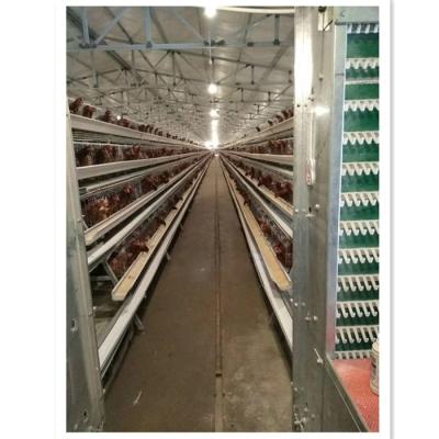 China Poultry Field 20 Years Battery Cages Chicken Poultry Farm Supply For Layers For Farms In Nigeria for sale