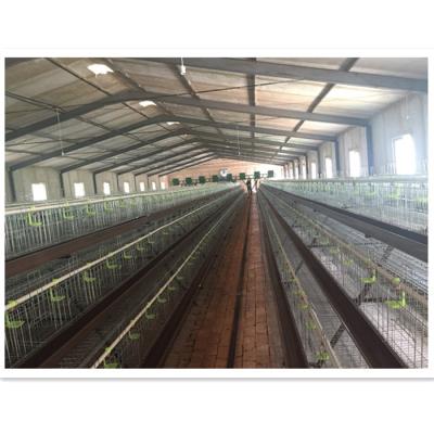 China poultry field chicken cage/egg laying cage/chicken layer cage for sale