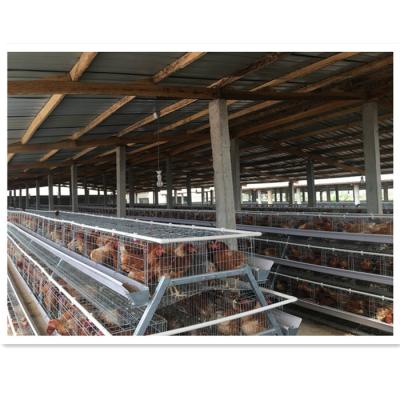 China Poultry Field Hot Galvanizing Chicken Cage For Poultry Equipment for sale