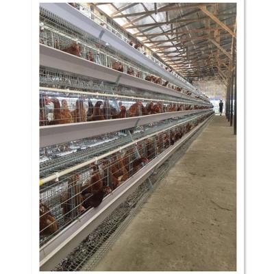 China Poultry Field Hot Galvanized 3 Layer Battery Chicken Cage Poultry Cages /chicken Cage /chicken Cage /layer Cage 20 Years Life With Automatic Water System for sale