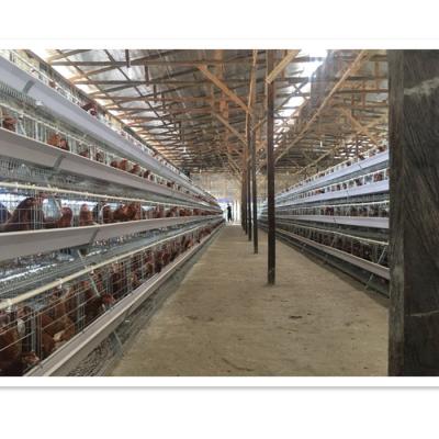 China poultry field chicken cage/factory design layer cage chicken cage for chicken farm for sale