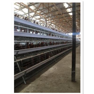 China High quality poultry field BT poultry egg layer chicken cage for sale for sale