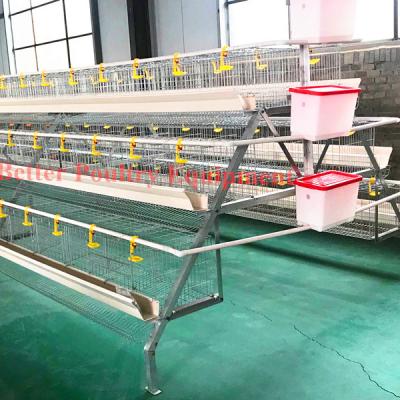 China Easily Install 4 Tier 128 Chicken Capacity Chicken Layer Cage for sale