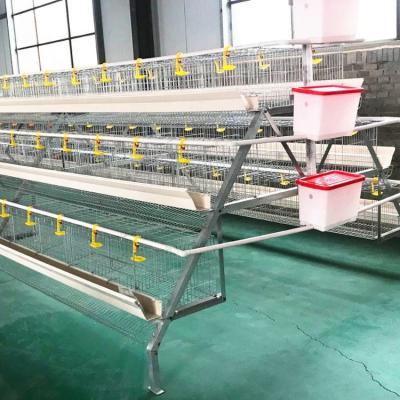 China Easily Install 4 Tier 160 Chicken Capacity Chicken Layer Cage for sale