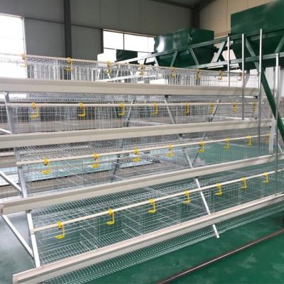 China Easily Install 4 Tier 128 Chicken Capacity Poultry Cage for sale