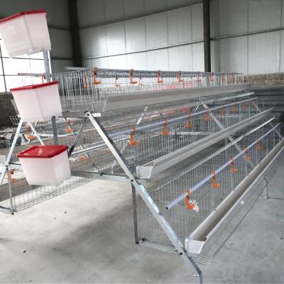 China Easily Install 3 Tier 120 Chicken Capacity Chicken Cage for sale