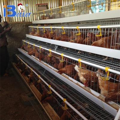 China Easily Install Quality Wholesale Farm Feeding Steel Animal Cages for sale