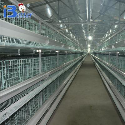 China Easily Install Made In China New Design H Type Chicken Breeding Cage for sale