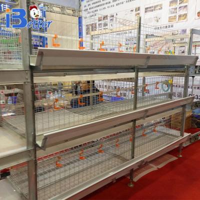 China Easily install the 2018 new poultry farming vending equipment for broiler chicken for sale