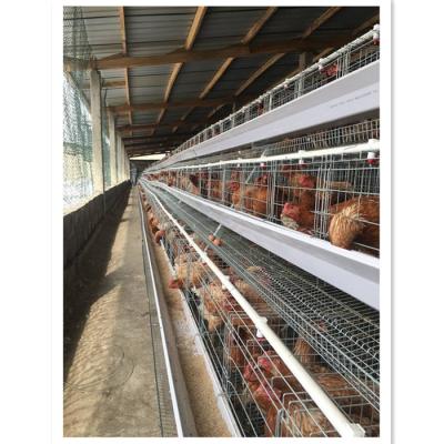 China Durable Chicken Cage For Sale Chicken Egg Layers 120 Chicken Cage for sale