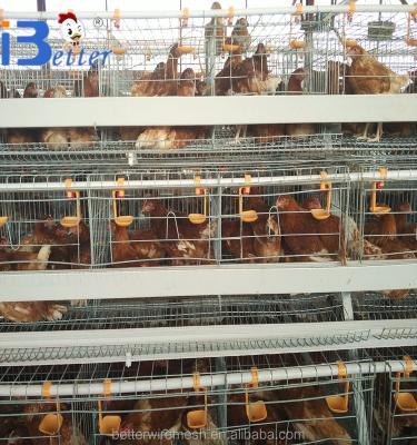 China Best Selling Farms BT Factory A-120 Wooden Chicken Layer Cage (welcome to visit my factory) for sale