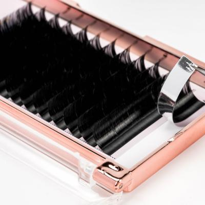 China Eyelash Extensions Salon Super Flexible Professional Eyelash Extension Thick Different Strands For Eyelash Extensions Artist for sale