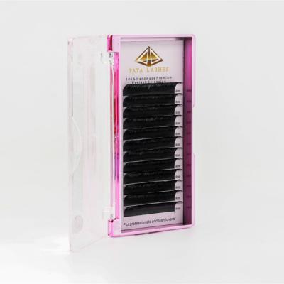 China 6-25mm Length Eyelash Extension Private Label Lashes Tray Vendor Light Hot Selling Individual Silk Extension for sale