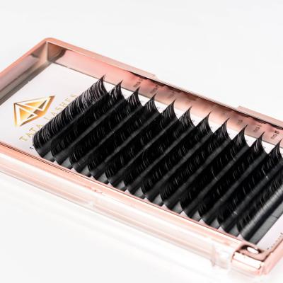 China Light Factory Supply J Since C D cc Different Dual Density Loop Eyelashes Single Silk Eyelash Extension for sale