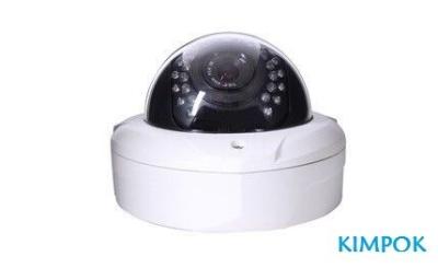 中国 屋内破壊者の証拠 IP のカメラ/Onvif のドームのカメラ/P2P CCTV のカメラ 販売のため