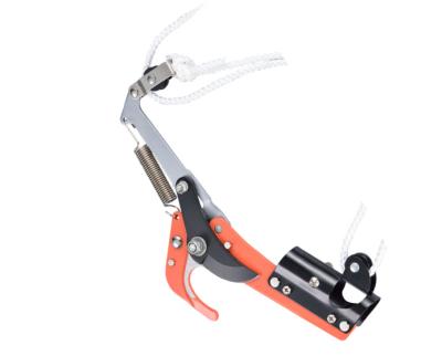 China Long Length Compound Shaft Pole Bypass Pruner for sale